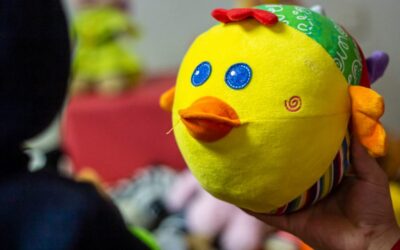 Pajaro Peluche